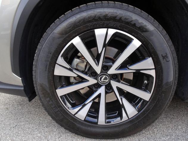 Lexus NX 350h Hybrid 4WD Business - Foto 6
