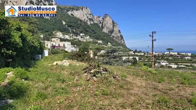 APPARTAMENTO di 8 vani e di 176 mq (CAPRI - Capri) rif. CVALP