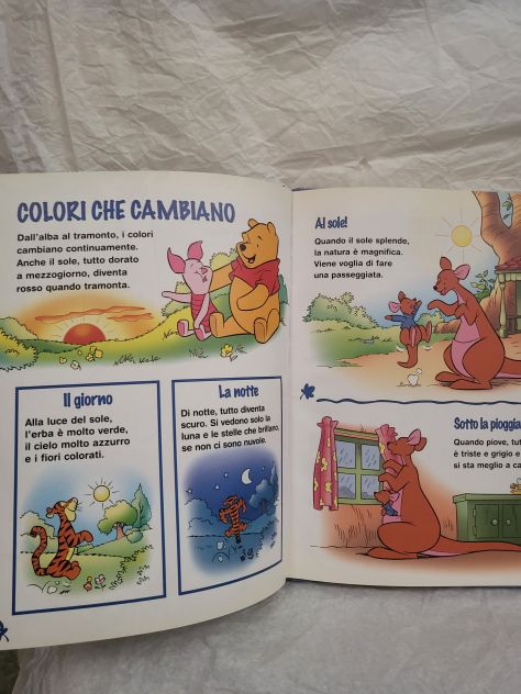 Alla Scoperta dei Colori - Foto 3
