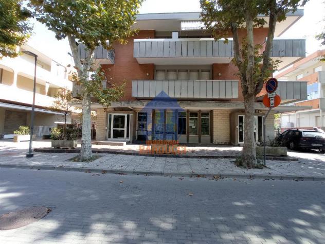 San Mauro Mare ampio immobile commerciale - Foto 2
