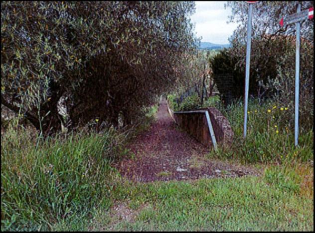 Immobile in asta di 1 m² in vendita a Montegabbione - Foto 6