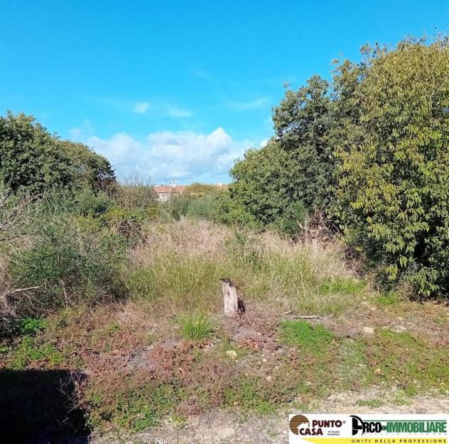 Via Galletti vendesi terreno agricolo 11.000 mq, pianeggiante - Foto 3