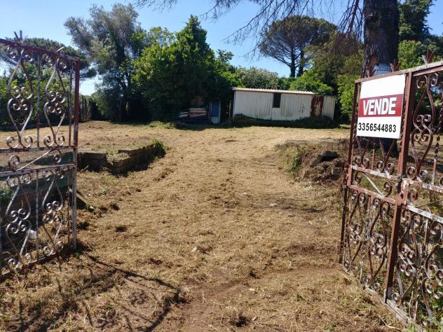 Terreno