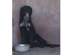BLACKY 3 ANNI taglia media