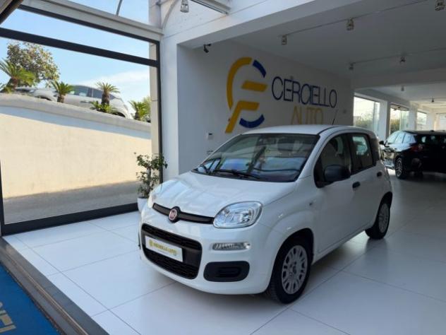 FIAT Panda 1.0 S&S Hybrid easy TUA DA €120,00 MENSILI ANT.0 rif. 24159099 - Foto 2