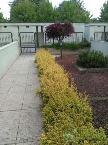 VILLA A SCHIERA di 4 vani e di 125 mq (ORNAGO) rif. IGC VILLA 160 ORNAGO - Foto 4