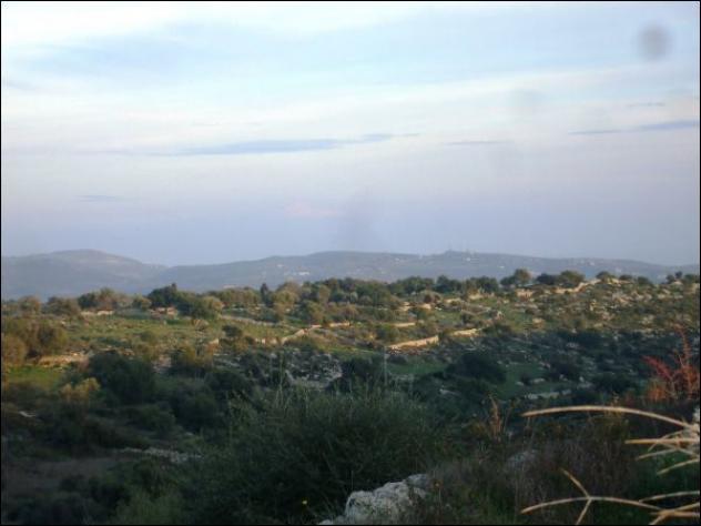Seminativo in vendita a Noto