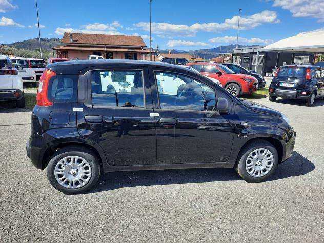 FIAT Pandina 1.0 FireFly 65cv S&S 6m Hybrid Icon - Foto 8
