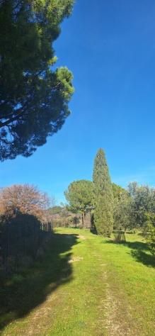 Magazzino in vendita a Loreto Aprutino - Foto 9