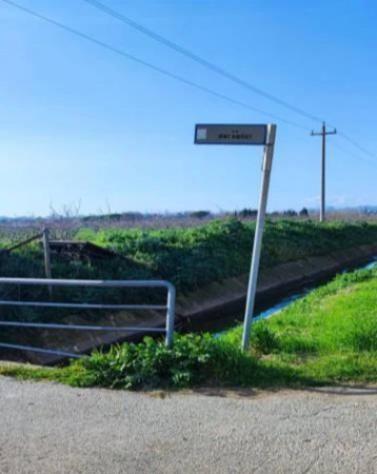 Immobile in asta di 3790 m² in vendita a Capaccio Paestum - Foto 4