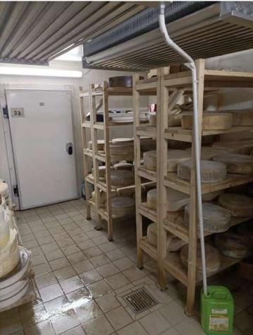 484/2024 U BS - fabbricato per l'allevamento di bovini - Foto 5