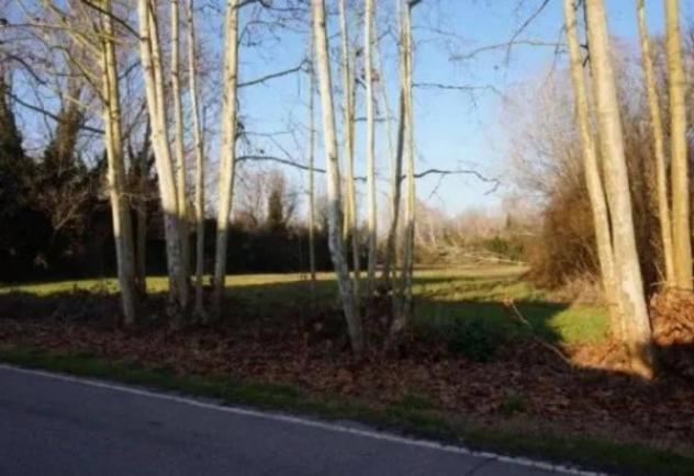 Immobile in asta di 58350 m² in vendita a Sermide e Felonica - Foto 7