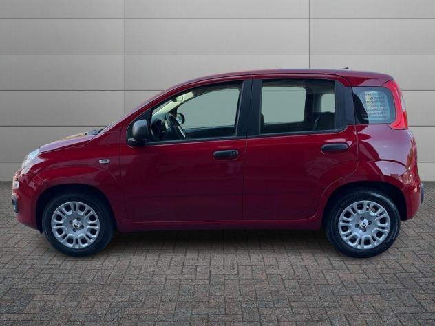 FIAT Pandina 1.0 FireFly 70cv S&S Hybrid Icon - Foto 2