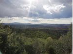 Villa in vendita a Scansano 140 mq  Rif: 1044550