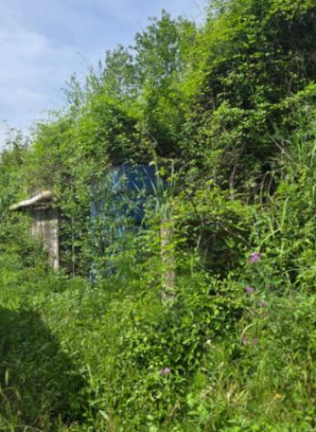 Immobile in asta di 10802 m² in vendita a Mileto - Foto 8