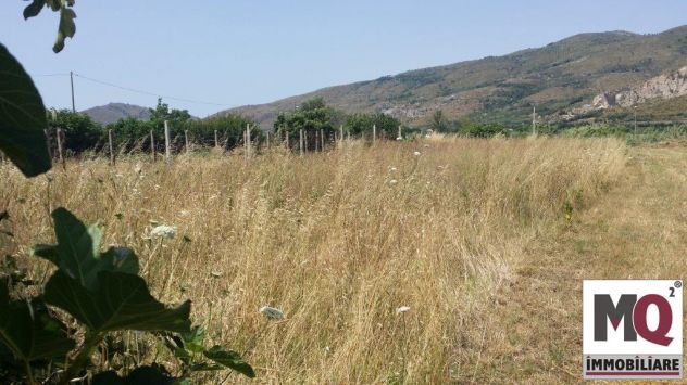 TERRENO EDIFICABILE IN ZONA DA LOTTIZZARE - VIA PADULE - MONDRAGONE - rif. V3159