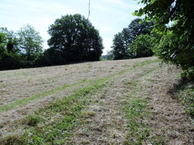 Terreno agricolo in vendita a Poggibonsi 25000 mq Rif: 1292617 - Foto 9