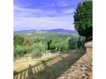 Terra di Michelangelo Societa' Agricola di Gabriele Bigiarini & C. S.a.s.