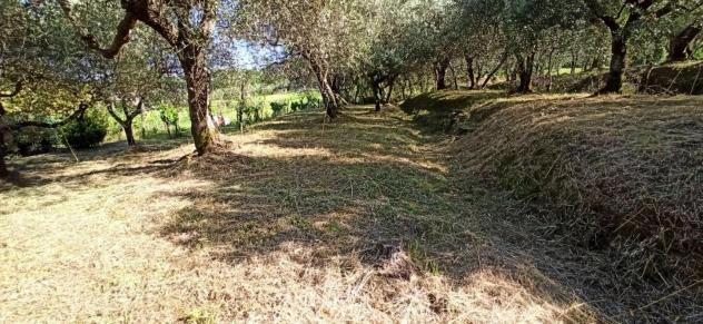 Terratetto in affitto a Colle di Compito - Capannori 100 mq Rif: 1421440