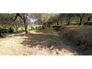 Terratetto in affitto a Colle di Compito - Capannori 100 mq Rif: 1421440