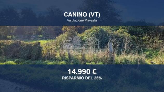 Immobile in asta di 18460 m² in vendita a Canino