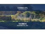 Immobile in asta di 18460 m² in vendita a Canino