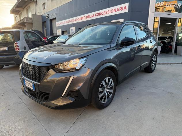 Peugeot 2008 BlueHDi 110 S&S Active