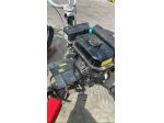 MOTOZAPPA BERTOLINI 195 S USATA