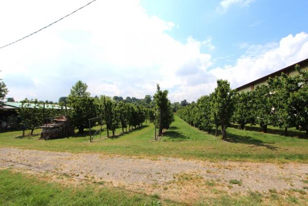 Porzione di casa in vendita a Valsamoggia - Foto 2