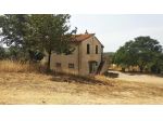 Azienda agricola in vendita a Istia D'ombrone - Grosseto 200 mq  Rif: 1401134