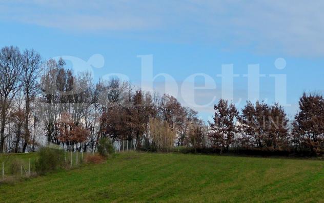 Terreno Agricolo - Montelanico . Rif.: Cod. rif 3214511VRG - Foto 4