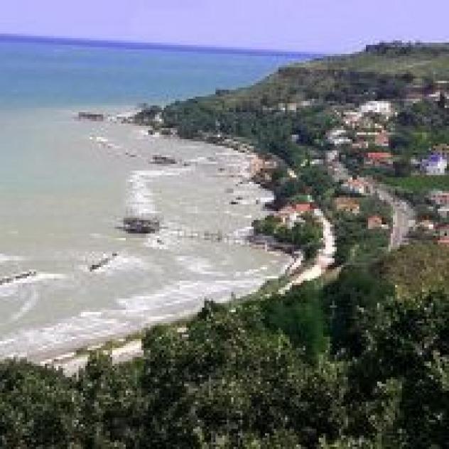 Il Cavalluccio Marino