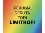 Controllo Tutto Come Vuoi: Beni - Attività - Dipendenti PERUGIA DERUTA TODI ECC.