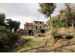 Casale in vendita a Vescovado - Murlo 600 mq  Rif: 1393246