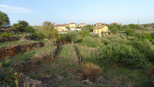 Area verde in vendita a Mascalucia - Foto 4