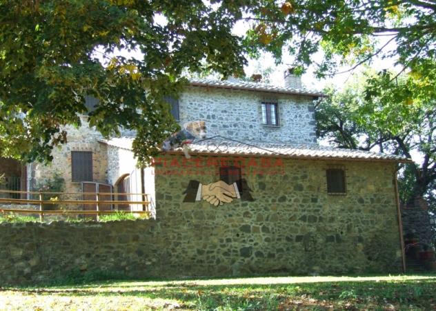 Orvieto - Antico monastero ristrutturato con piscina e terreno in vendita - Riferimento RC213 - Foto 7