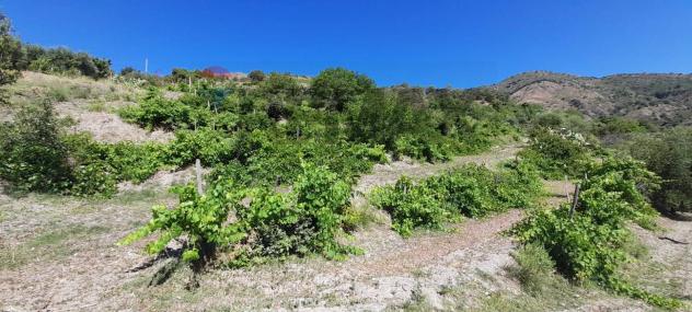 Rustico in vendita a Graniti - Foto 18