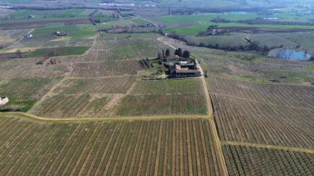 Terreno di 400000 m² in vendita a Piacenza - Foto 5