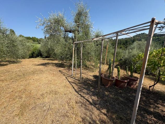 Terreno agricolo in vendita a Montecastello - Pontedera 5110 mq Rif: 1425459 - Foto 9