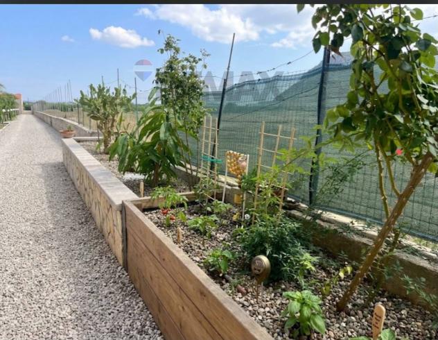 Terreno in vendita a Siracusa, Cassibile - Foto 4