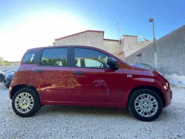 FIAT Panda 1.0 FireFly S&S Hybrid rif. 22923984 - Foto 7