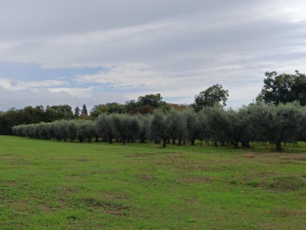 Villa in Via Cesiano - Foto 9