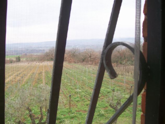 Nell campagne di Montecchio casale di 160mq circondato da 2,2ha di terreno - Foto 6