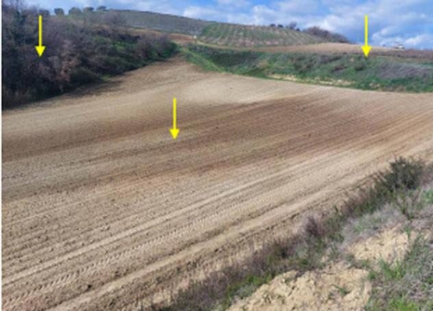 Immobile in asta di 43400 m² in vendita a Altomonte - Foto 9