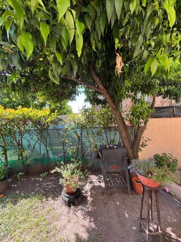 Terratetto in vendita a Vado - Camaiore 75 mq Rif: 1417302 - Foto 3