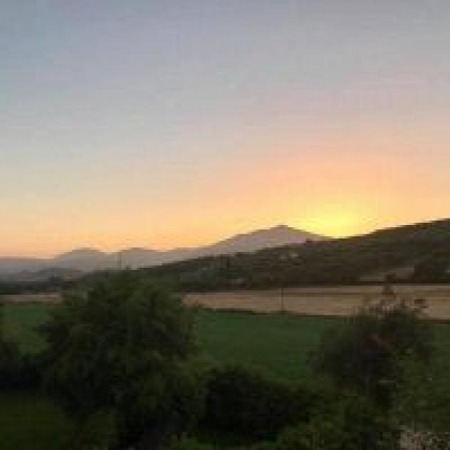 La Petrosa - Azienda Agricola - Foto 4