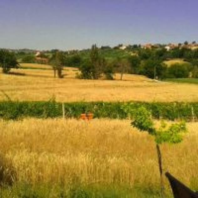 Alla Vecchia Cascina - Foto 3
