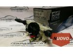 Devio Luci Megane - Scenic - Grand Scenic 255670019R