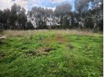 Terreno Agricolo - Rif. 2497
