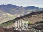 CASALE CON TERRENO